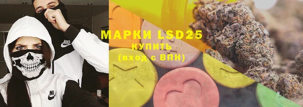 apvp Алзамай