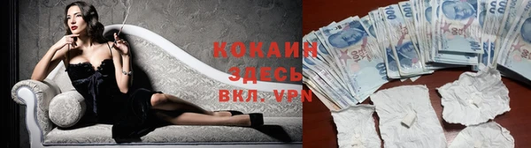 apvp Алзамай