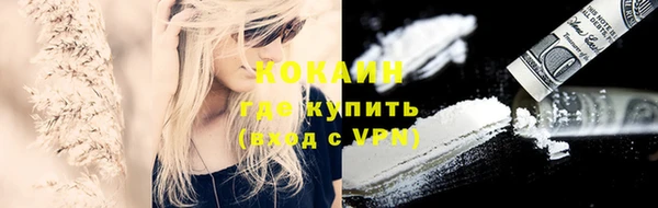 apvp Алзамай
