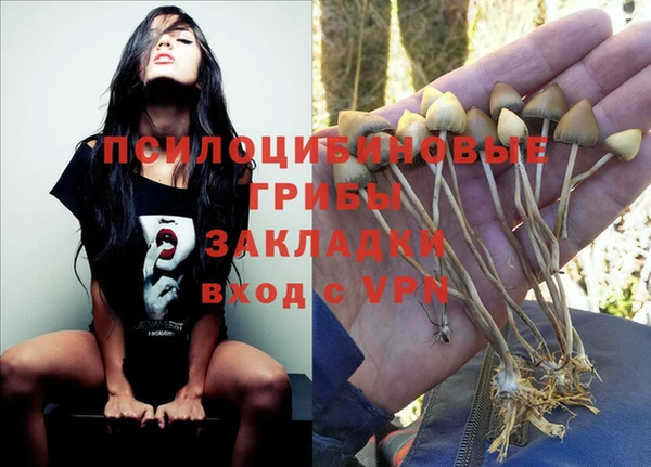прущие крисы Сатка