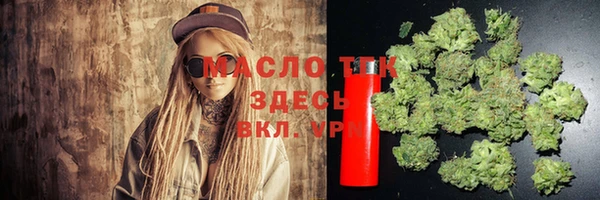 стаф Сафоново