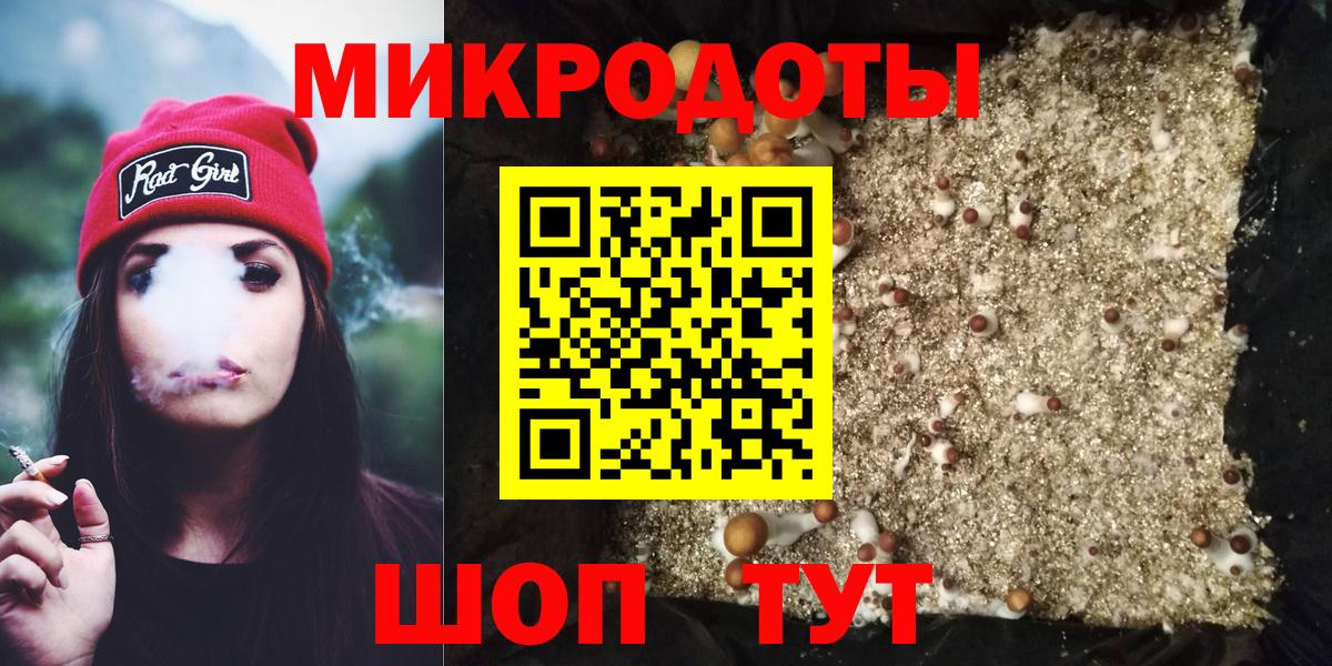 Галлюциногенные грибы Psilocybe Апрелевка